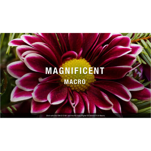 OM SYSTEM M.Zuiko Digital ED 60mm f/2.8 Macro Lens - Image 5